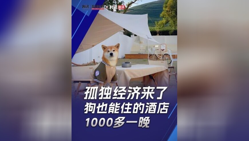 2019通天正版报每期更新图片,曼城0比2利物浦,社会责任方案执行_高清版V10.62